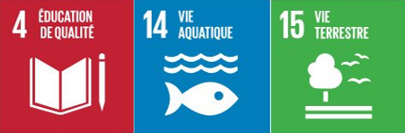 PNG - 68.5 kio